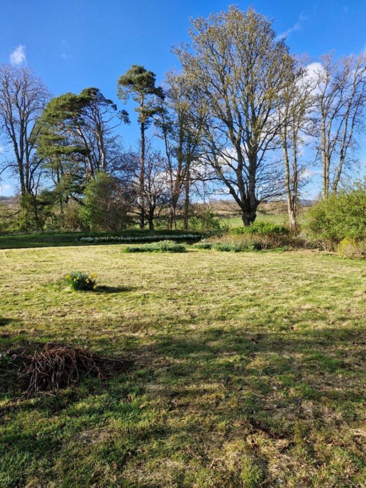 The Bungalow - Ardullie Lodge Dingwall Esterno foto