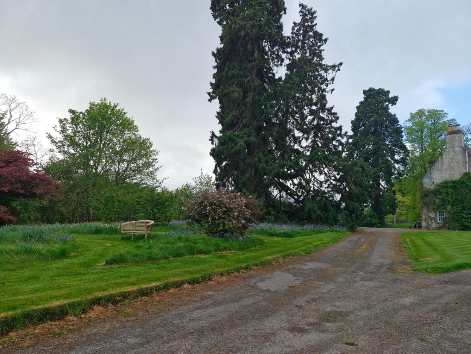 The Bungalow - Ardullie Lodge Dingwall Esterno foto